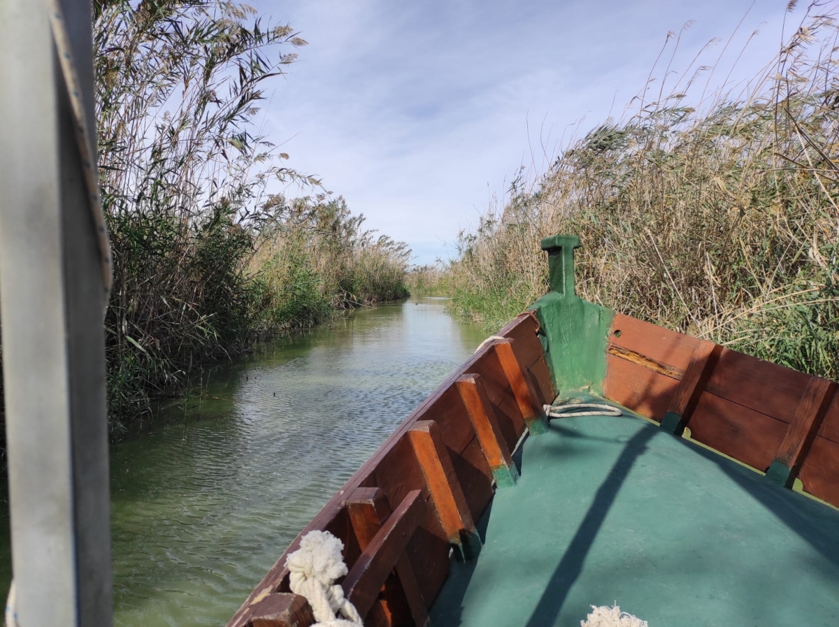 València retira 140 m3 de residuos de l'Albufera con el plan de empleo de la Dana
