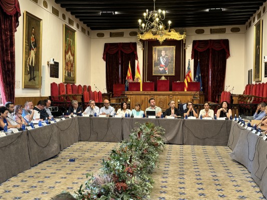 Colectivos sociales de Elche piden formación en acción comunitaria o vivienda accesible 