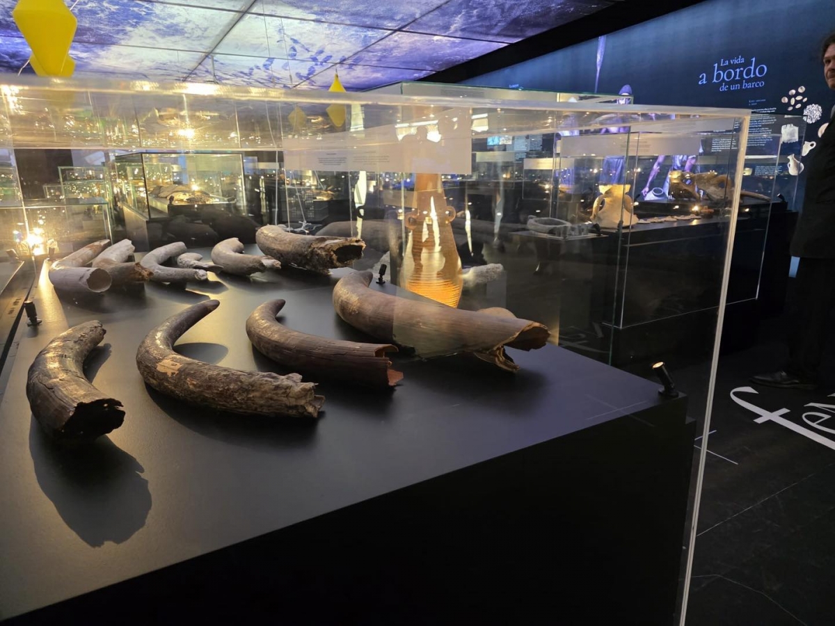  - Foto: AYTO. SAN JAVIER