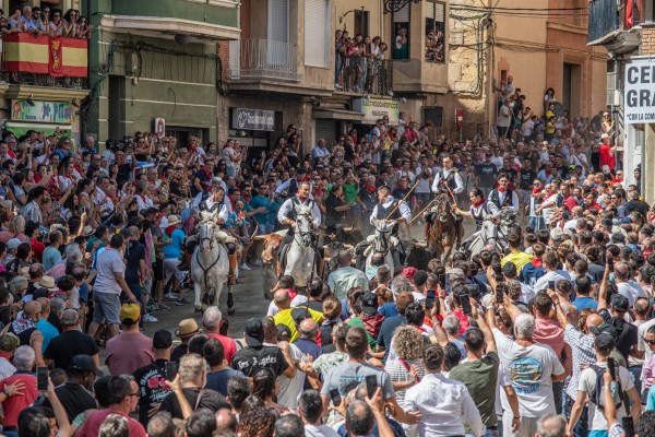 La tercera Entrada de Toros y Caballos de Segorbe: 