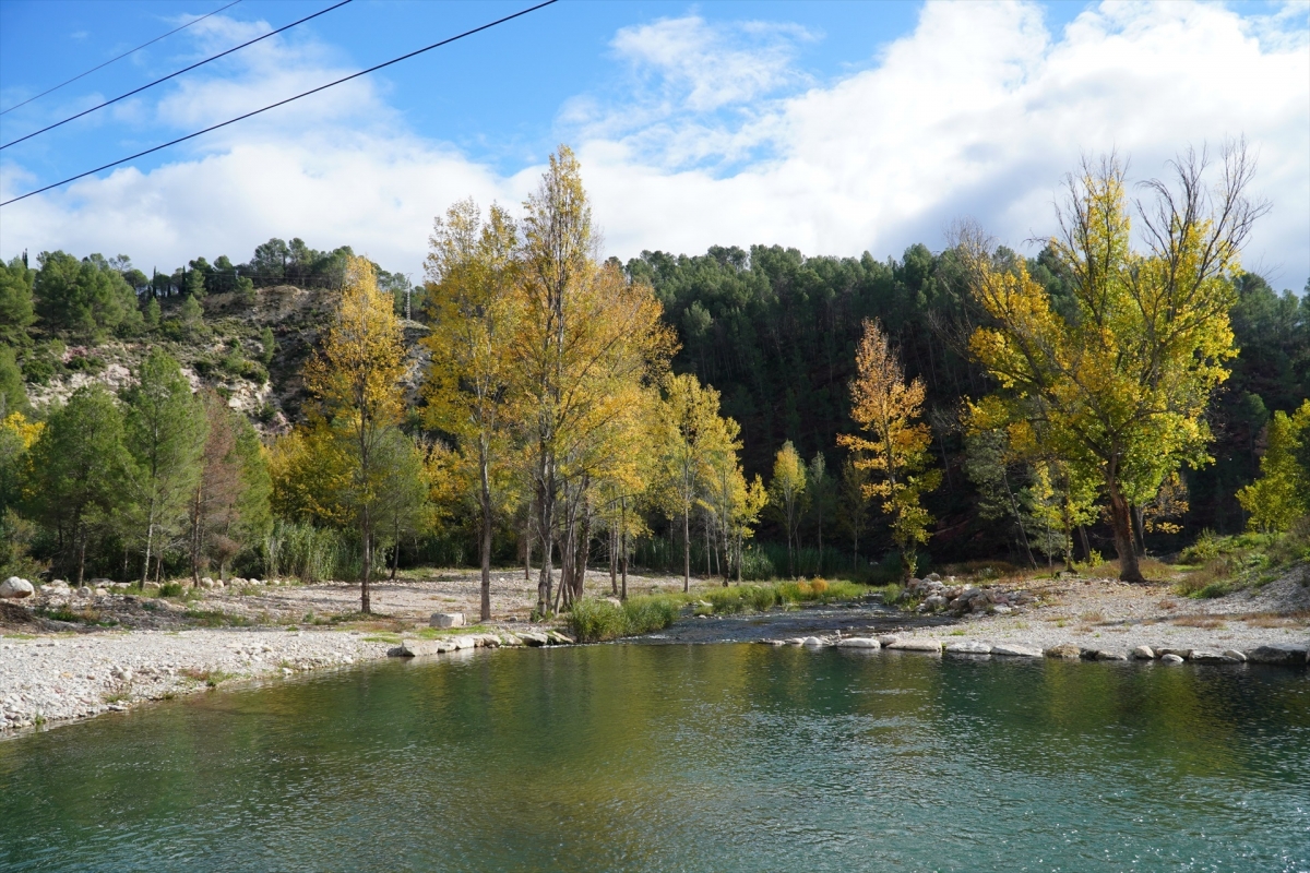 La CHJ lleva 179 actuaciones de mantenimiento y conservación de cauces autorizadas desde noviembre de 2024