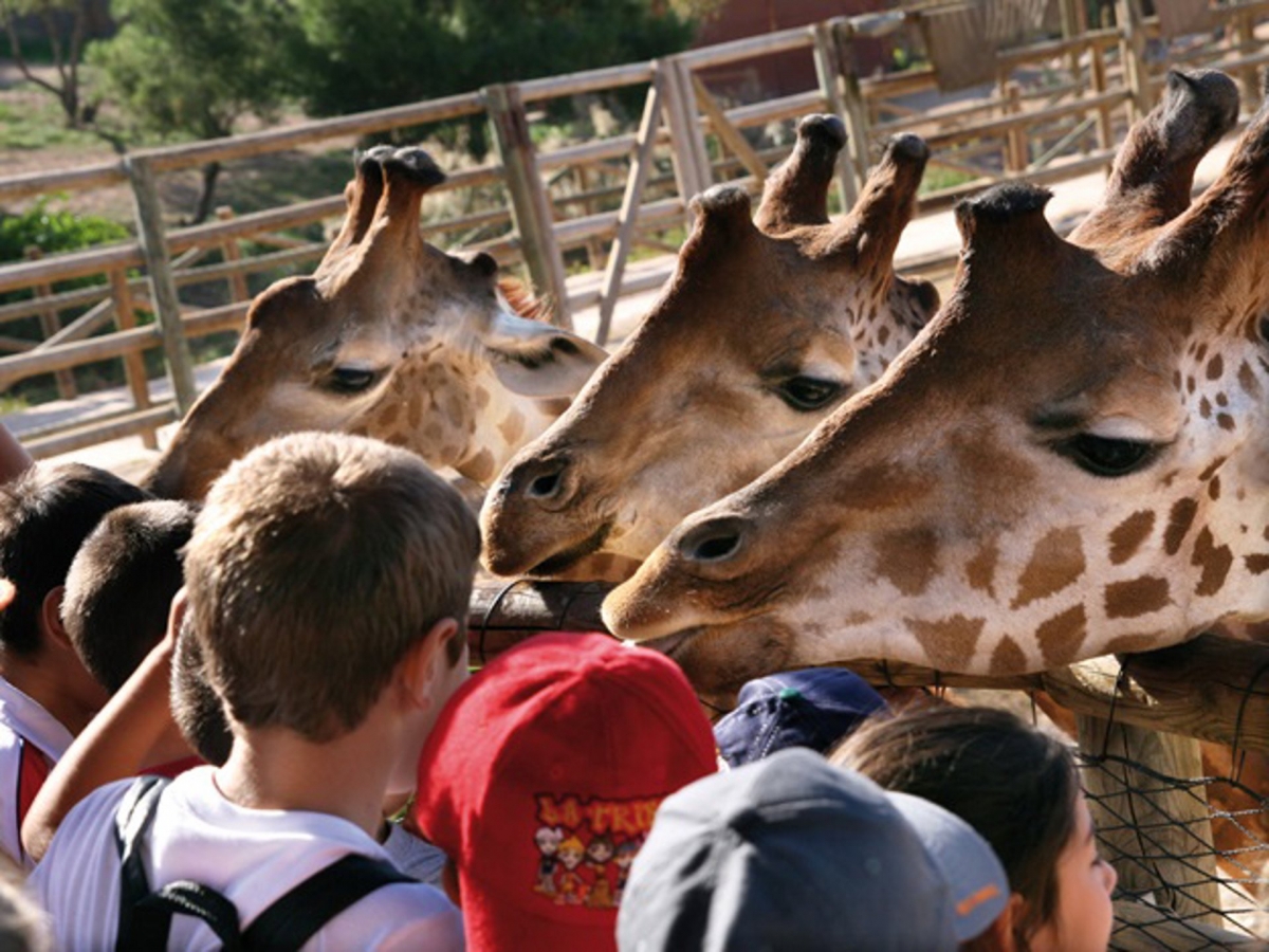 El parque Terra Natura Murcia celebra el Día del Niño este fin de semana con un programa de actividades para toda la familia