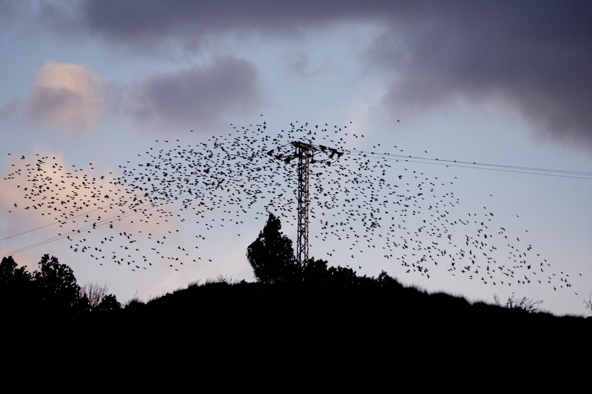 Andreu Esteban documenta la huella de infraestructuras energéticas en el territorio en la muestra de Fragments