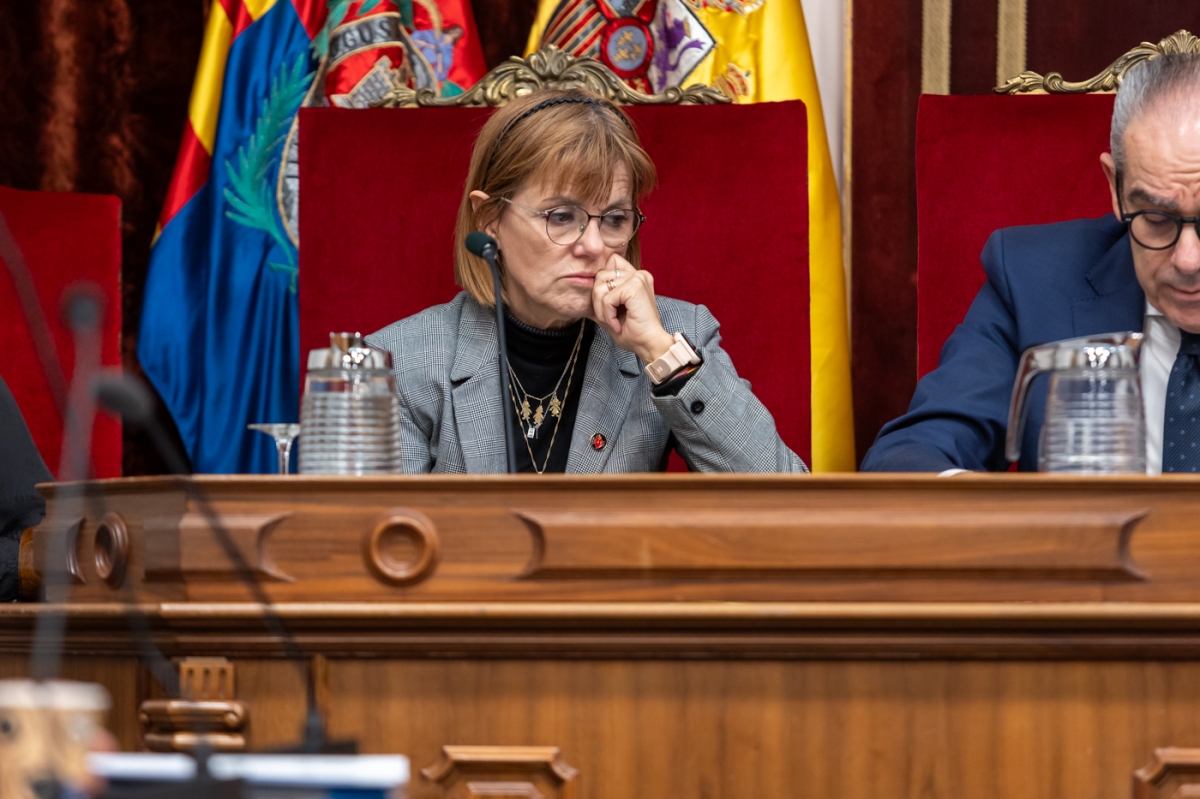 Aurora Rodil en el pleno -