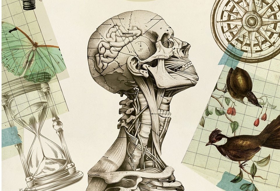 El catedrático Juan Antonio Madrid presenta este miércoles en Murcia su libro 'El sueño del Sapiens. Dormir nos hizo humanos'