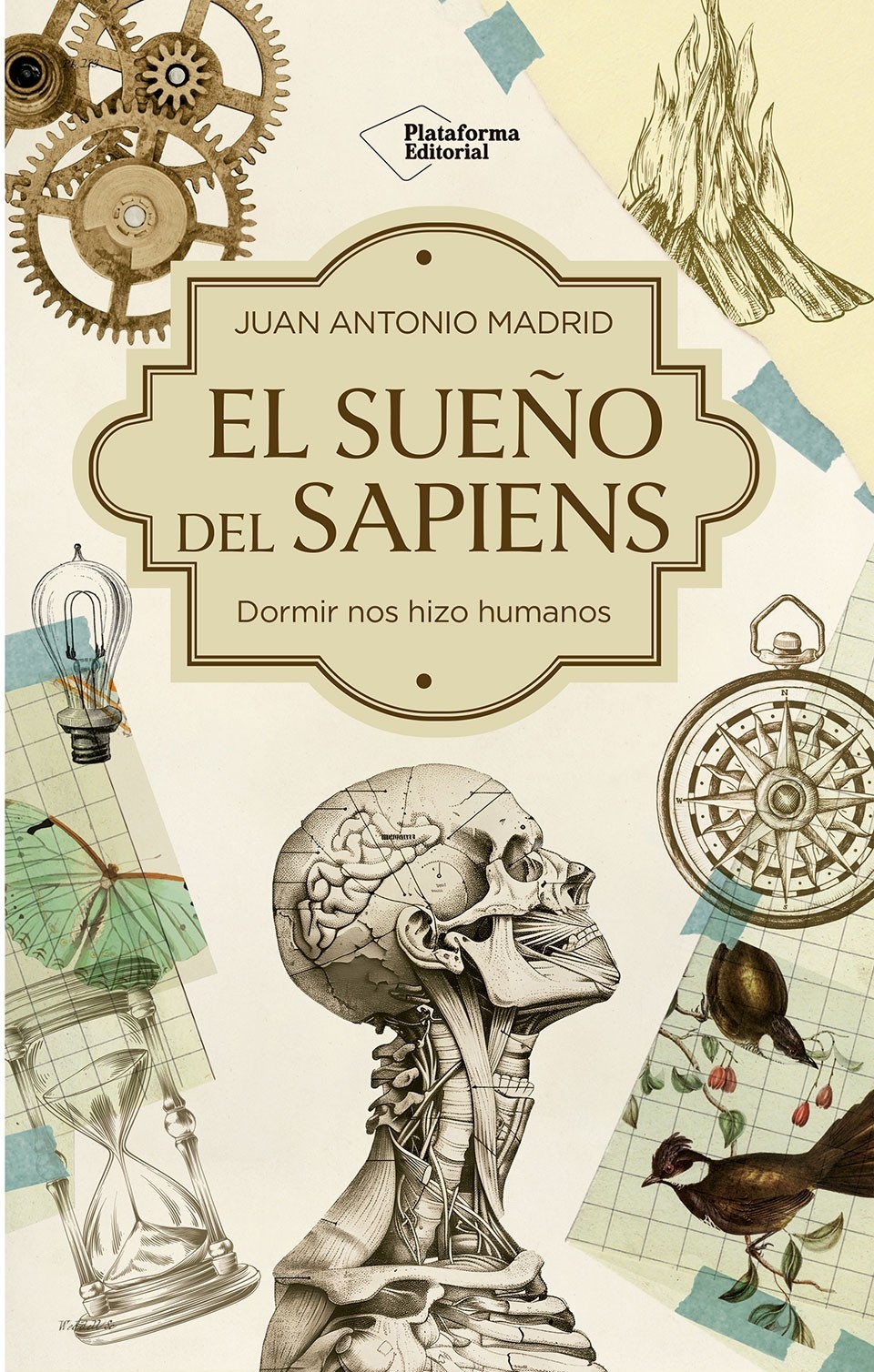 Libro El sueño del Sapiens
