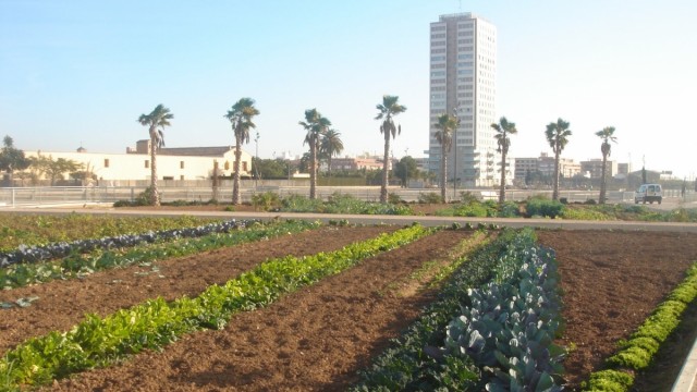 Los huertos urbanos de Sociópolis estarán disponibles para su uso a principios de 2026