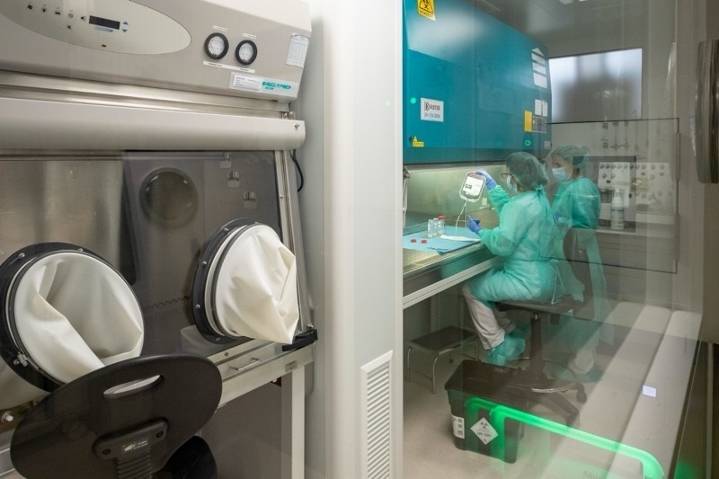 La Comunitat Valenciana registra 521 donantes de tejidos en 2024