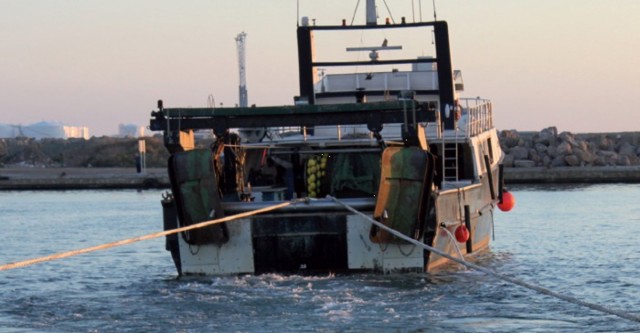 La pesca de la Región 'brinda' por Navidad: más días de pesca hasta final de año