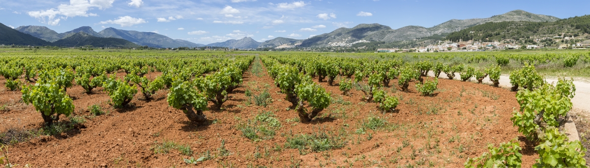 Pla de Llíber, en pleno Vall de Pop. - Pla de Llíber, en pleno Vall de Pop.