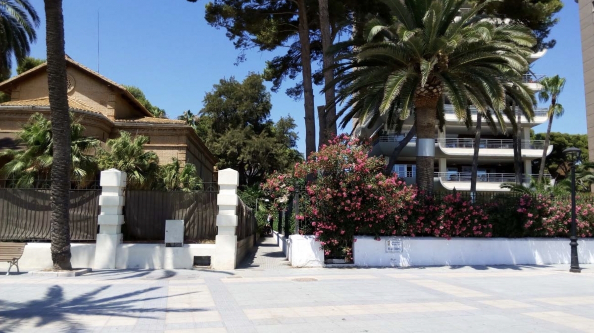 Apertura del nuevo vial peatonal.