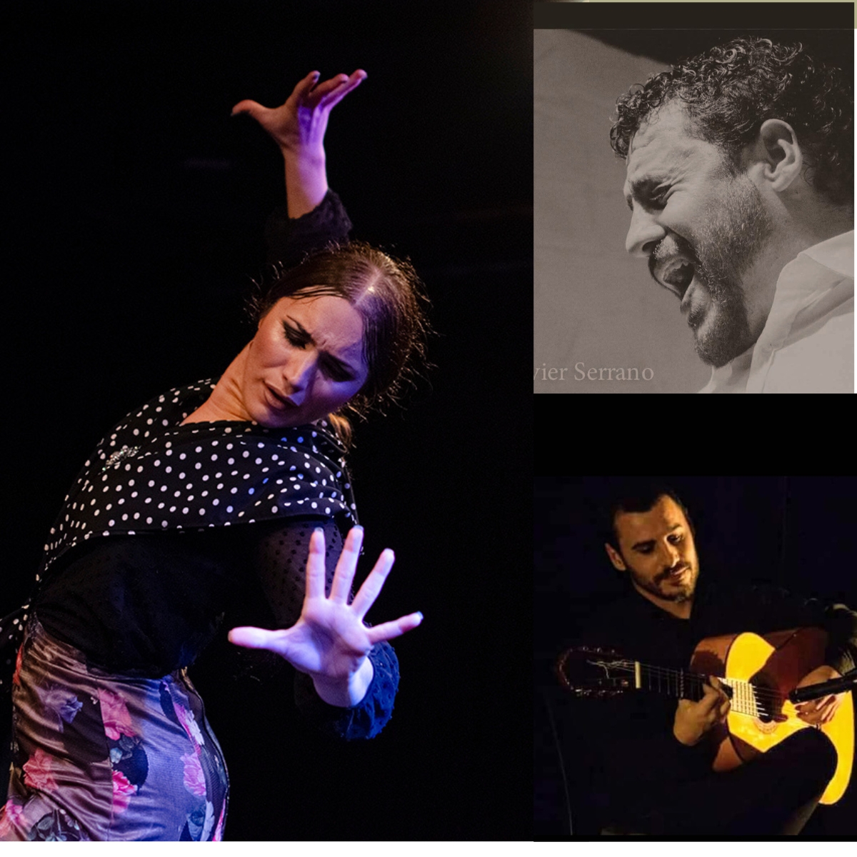 El ciclo 'Flamenco en el Castillo' ofrece dos nuevas citas en el Castillo de Santa Bárbara