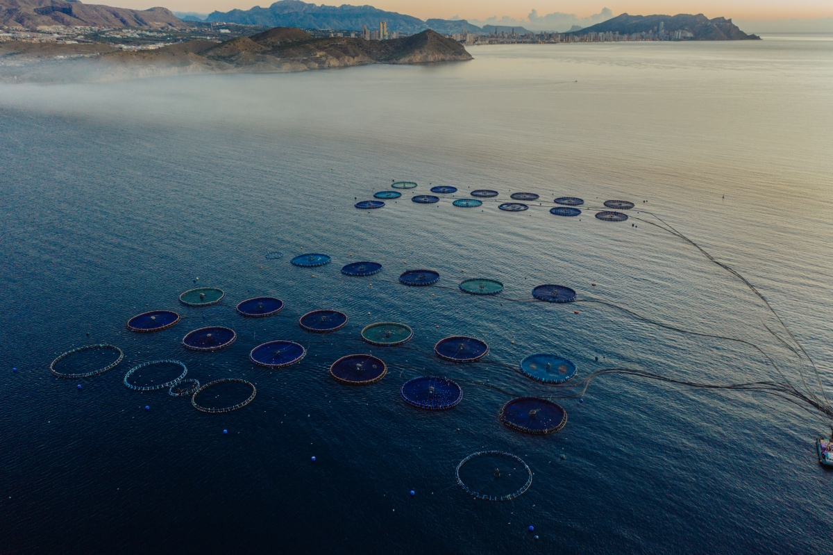 Javier Ojeda, gerente de APROMAR: 