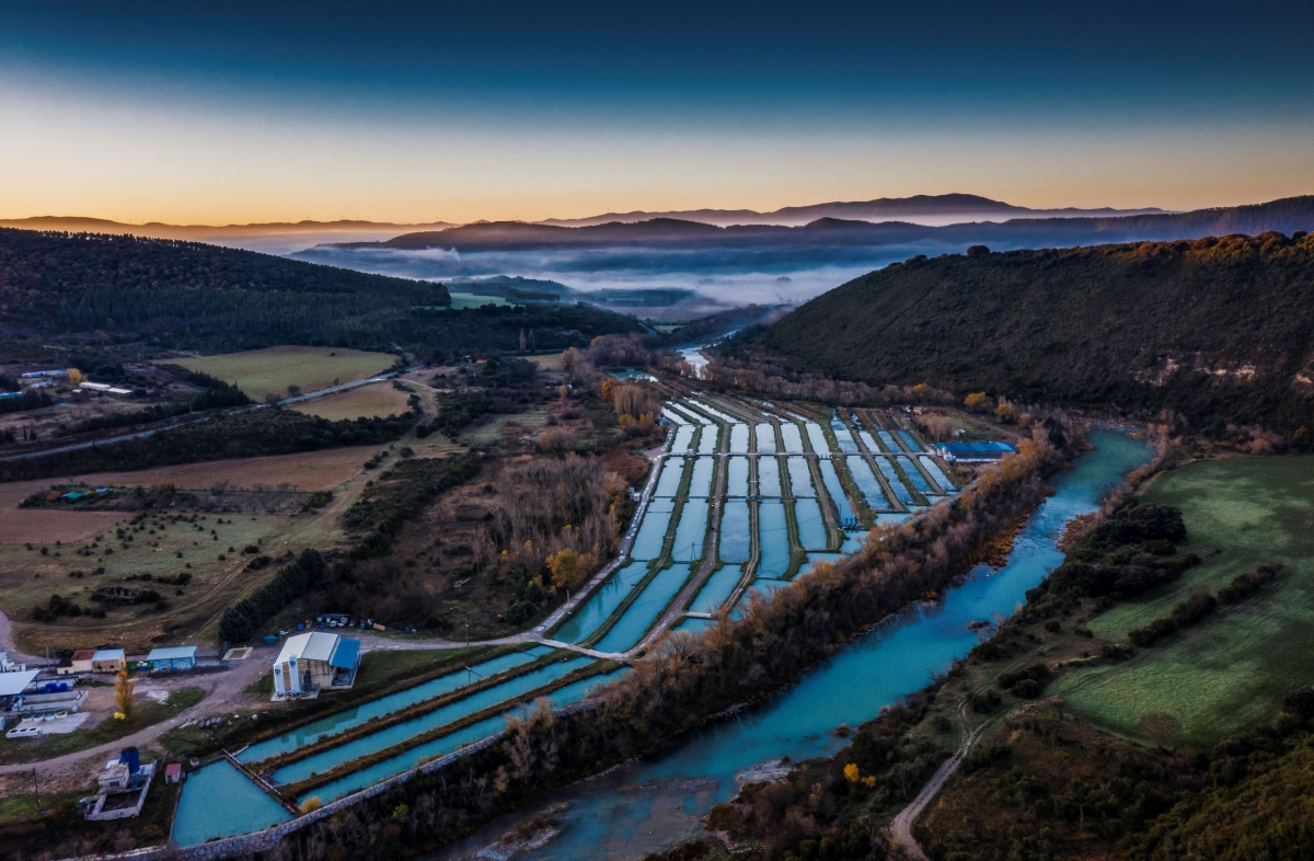 Imagen de archivo de la acuicultura.