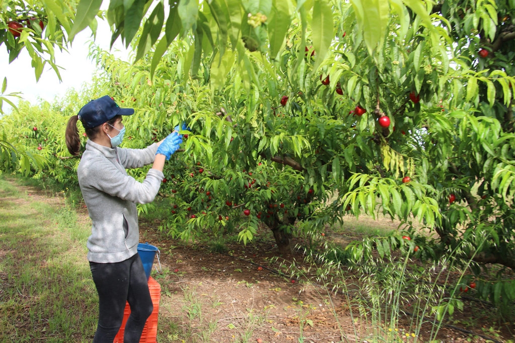 El Grupo SAS, controlado por el fondo Stirling Square, compra la agroquímica castellonense Codiagro