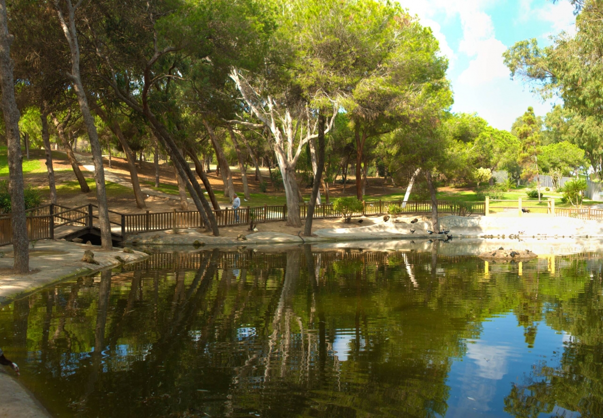 Detectado un positivo de gripe aviar en un pavo real del parque de Guardamar