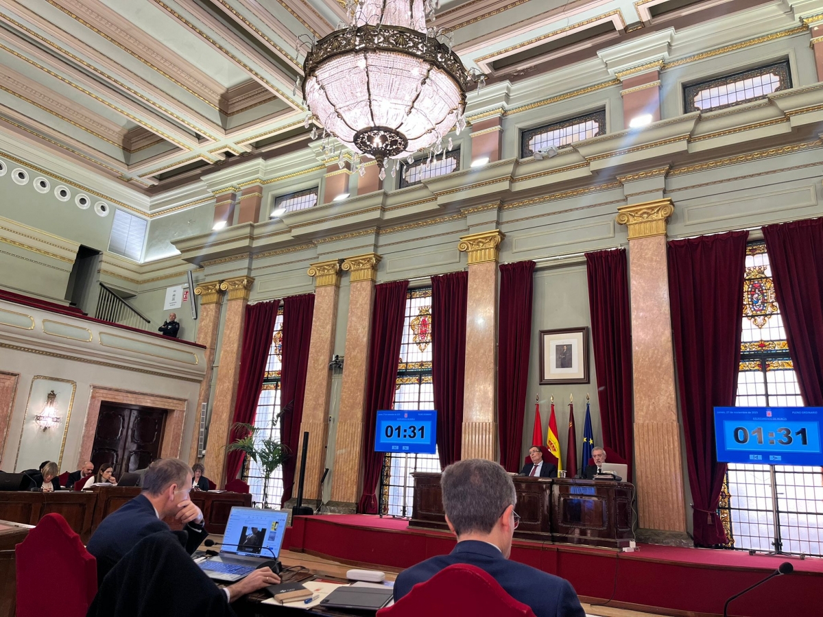 Vox denuncia el “caos” de movilidad en el barrio del Carmen y lleva su crítica al Pleno de Murcia