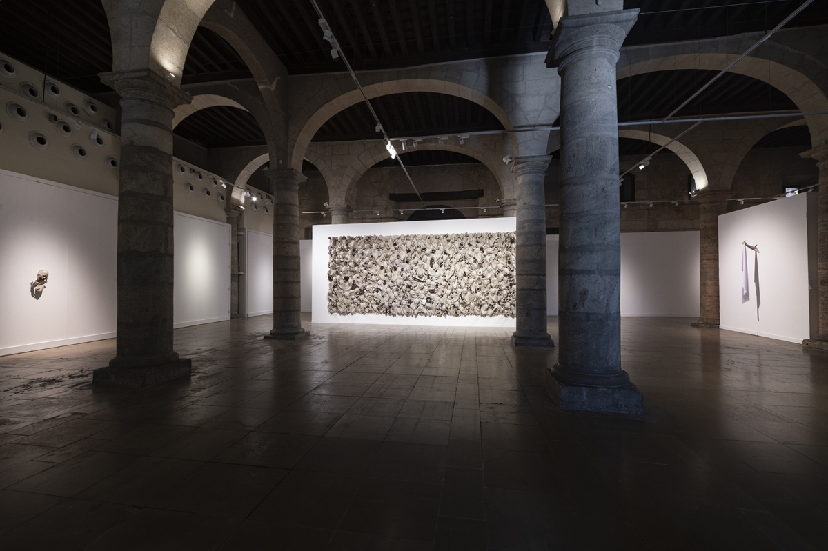  - Foto: José Luis Montero