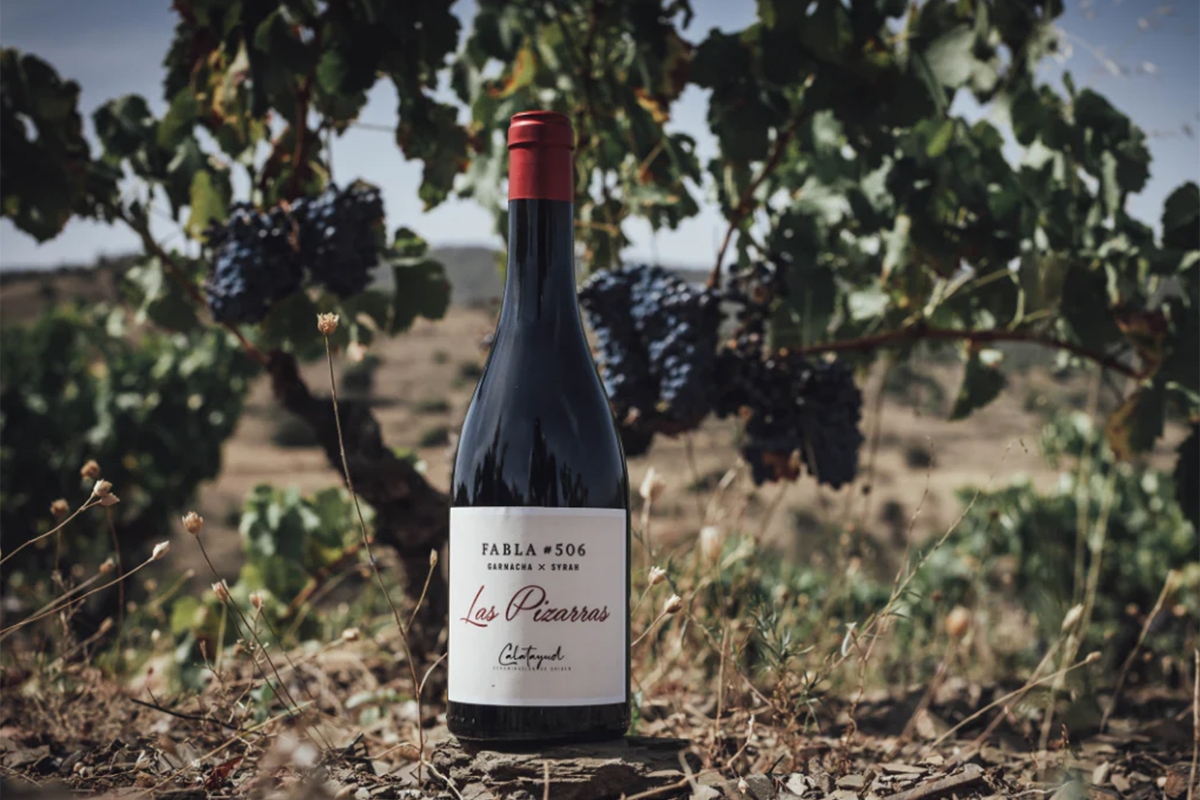 Las Pizarras Fabla #506 de Raíces Ibéricas, en el TOP100 Vinos del Año de Wine Spectator