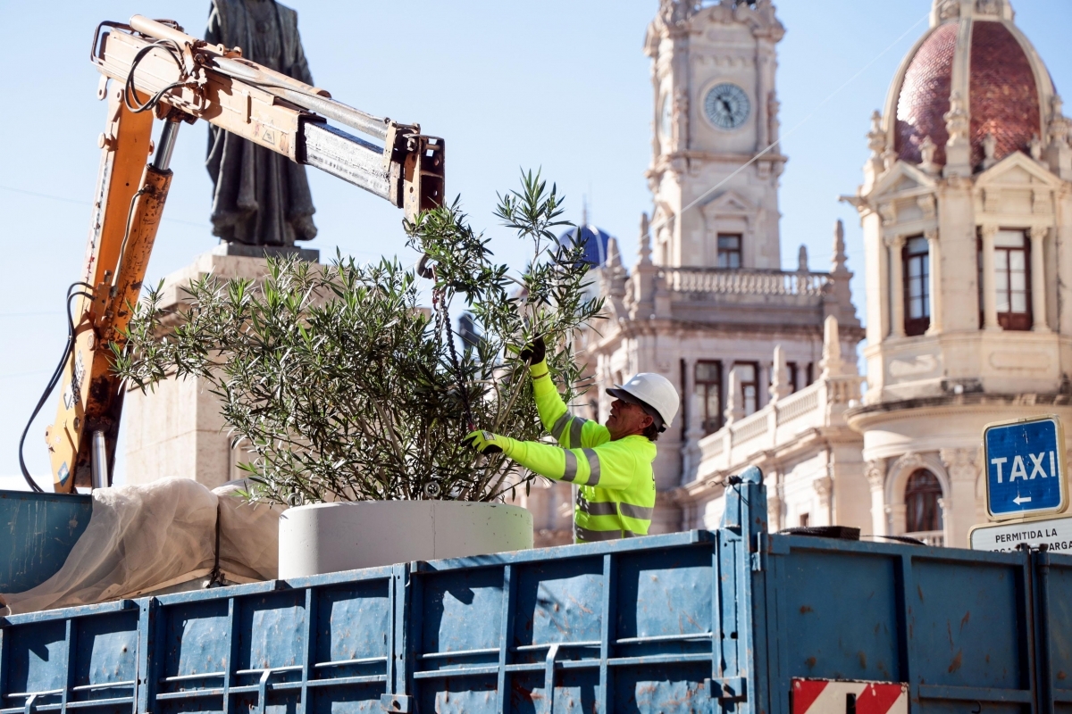València encerrada en unos maceteros: el símbolo de elegir entre verde o gris 