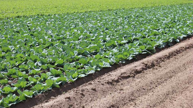 Fundación Aguas de València entrega al Tribunal de las Aguas 9.873 euros para un proyecto de CO2