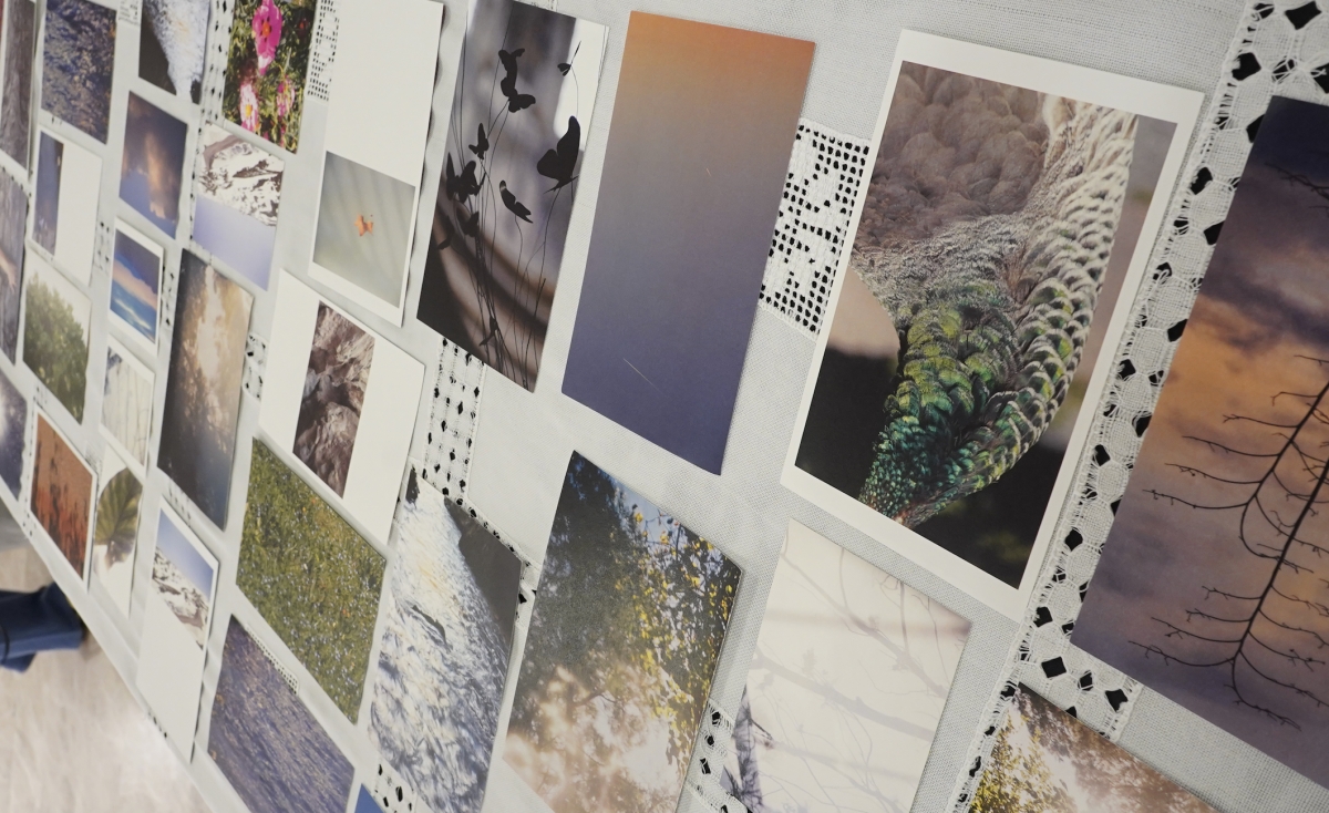 Entre imágenes y versos: ‘Criatura Múltiple’ de María Beneyto se reescribe en un fotolibro