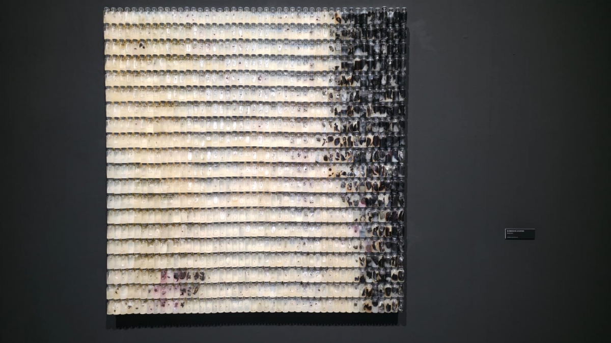  - Foto: AYTO. MURCIA