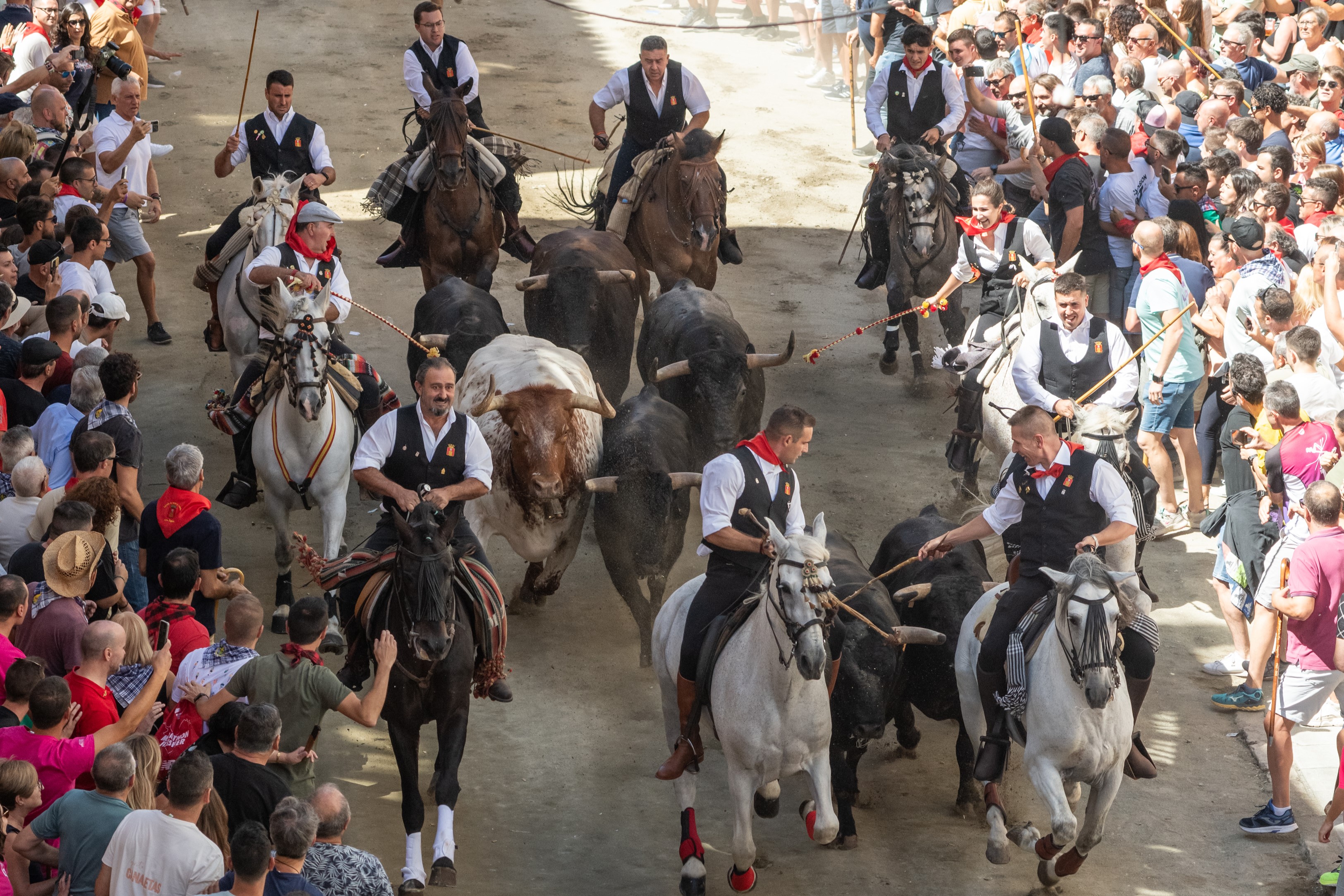 Segorbe inaugura sus Entradas de Toros y Caballos con una carrera 