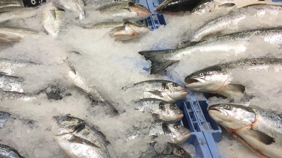 Los pescadores de la Región siguen confiando en una buena Navidad aunque esperan más días de pesca en 2026