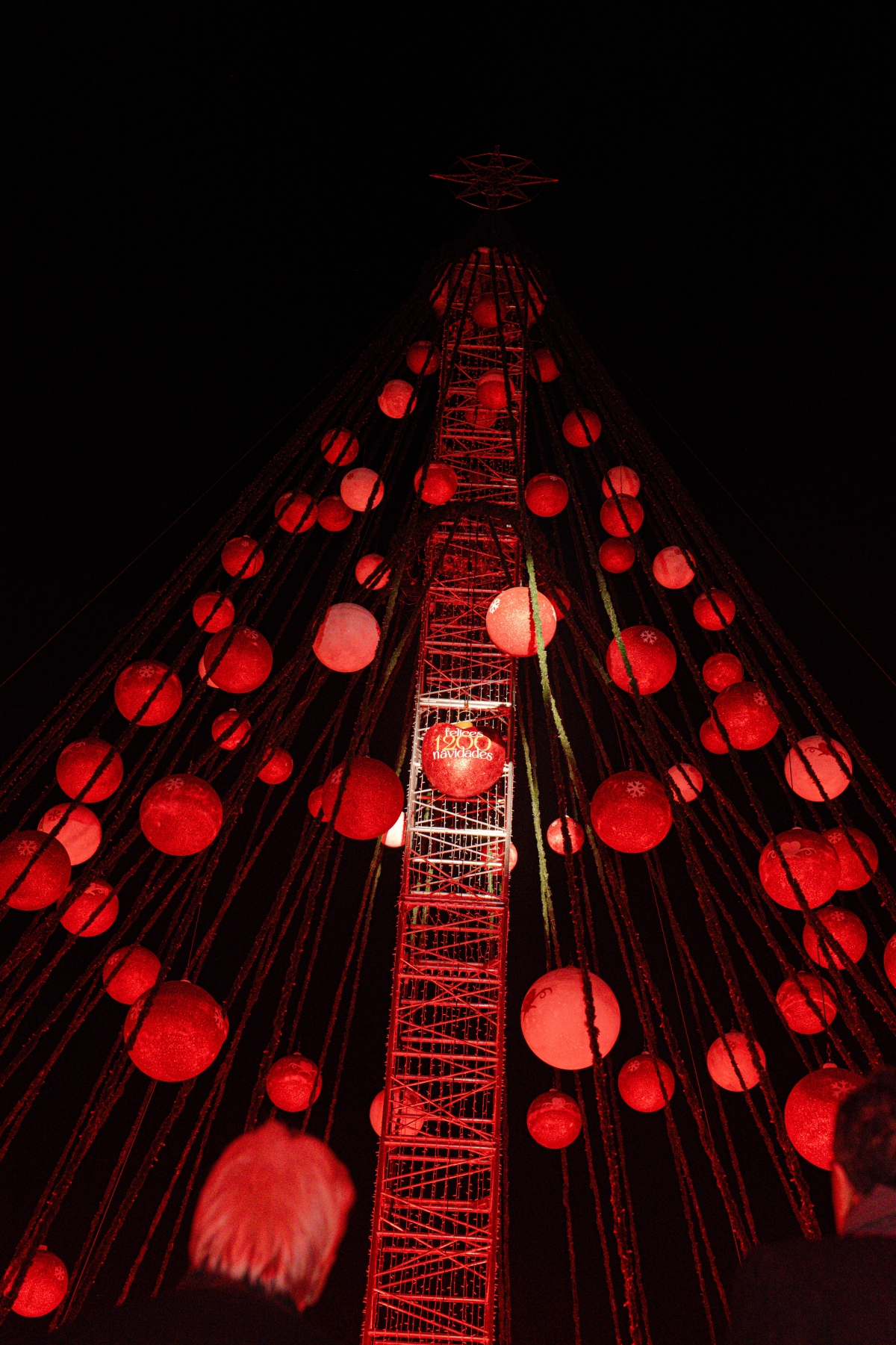  - Foto: AYUNTAMIENTO DE MURCIA