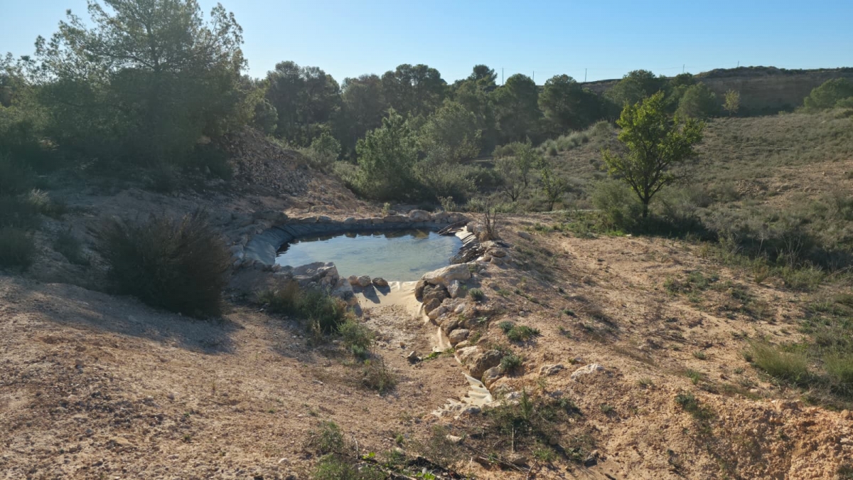 Los Pelaos, la finca de Corvera que es un ejemplo de recuperación del paisaje autóctono de Murcia