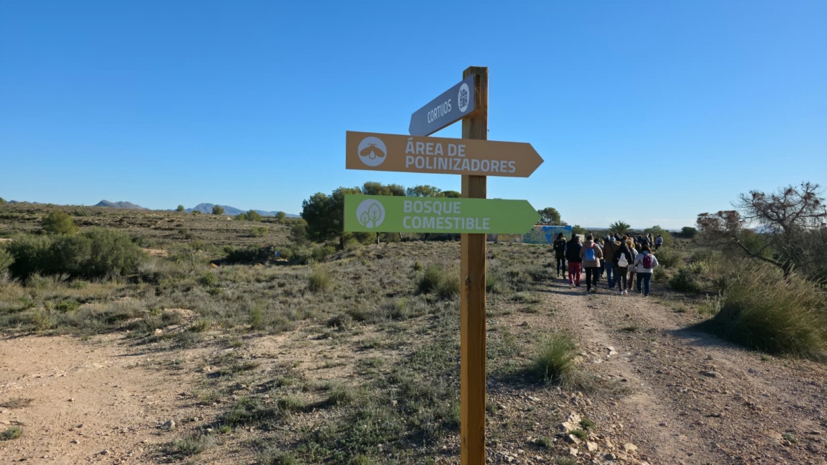  - Foto: AYTO. MURCIA