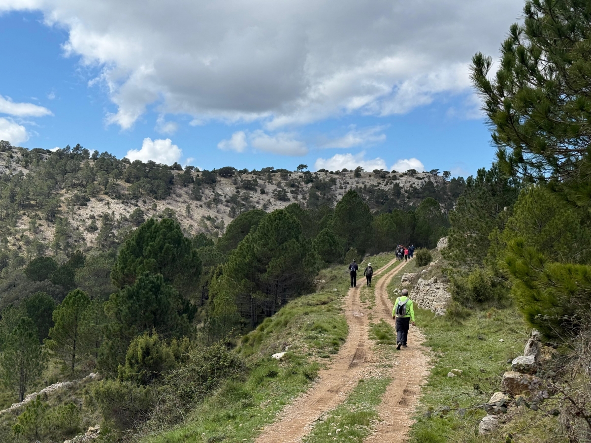 La Diputación destina 230.000 euros en ayudas para la adecuación de senderos públicos y homologados