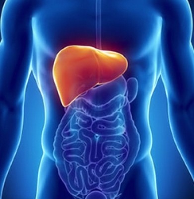 5.000 valencianos participarán en un estudio sobre la hepatitis C