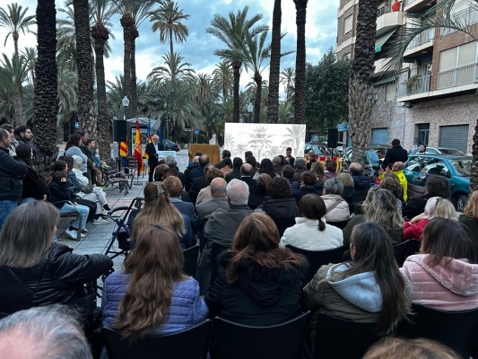 Elche trabaja para la obtención del indicación geográfica protegida de la palma blanca