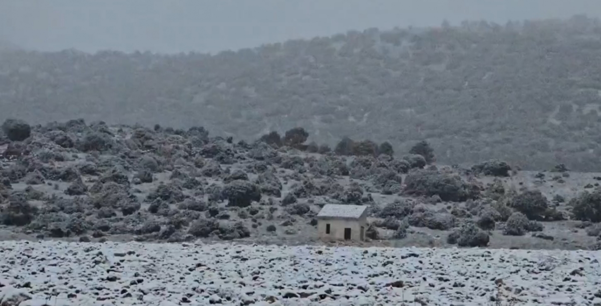  - Foto: Juan Manuel Navarro, concejal de Caravaca