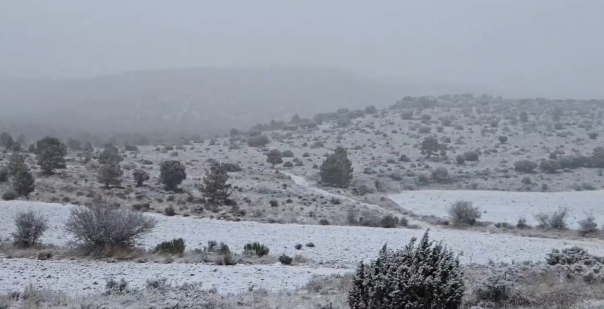  - Foto: Juan Manuel Navarro, concejal de Caravaca