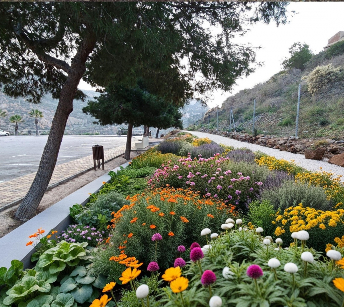 La APC impulsa un proyecto de refuerzo verde en el puerto y su entorno por más de un millón