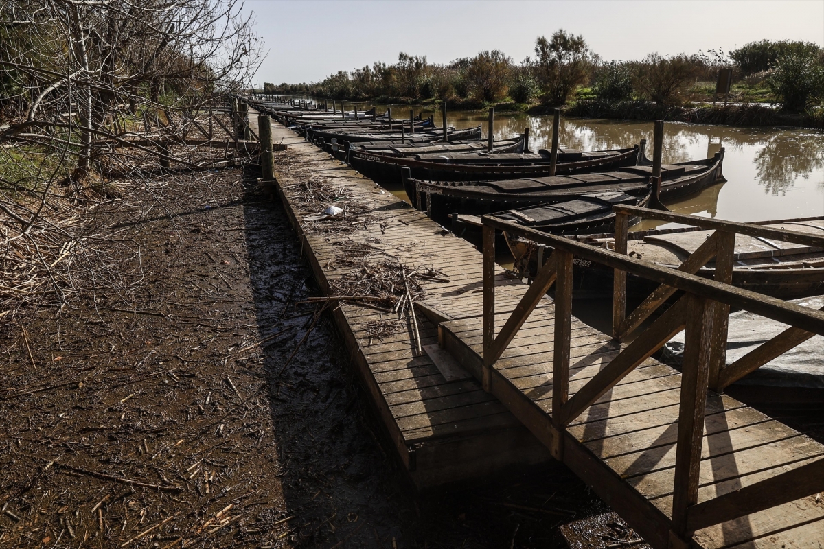 Alertan sobre la barrera norte de la Albufera, 