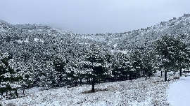 Alerta en la Región de Murcia por temporal marítimo en el litoral y nevadas en el Noroeste