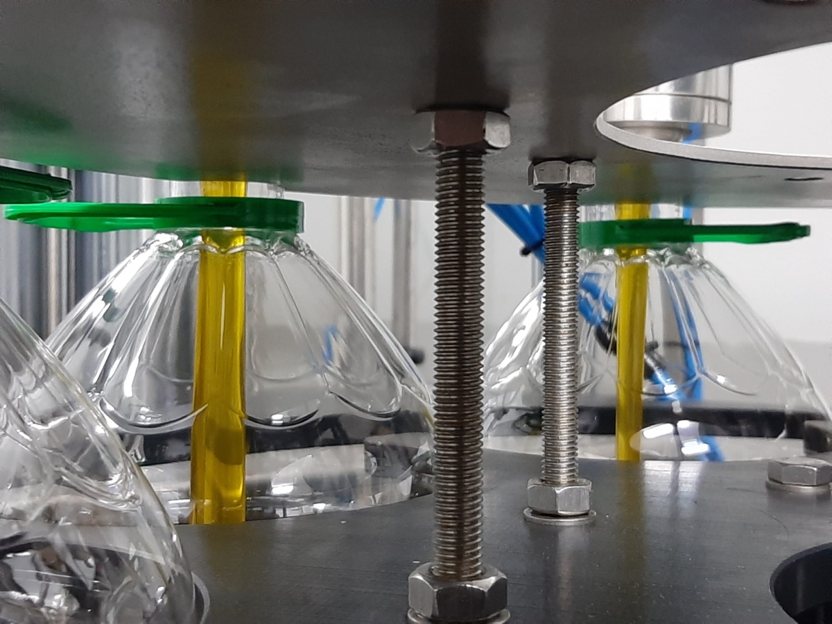 Viver cierra la campaña de aceite con más de 124.000 litros y recupera sus gamas de virgen extra