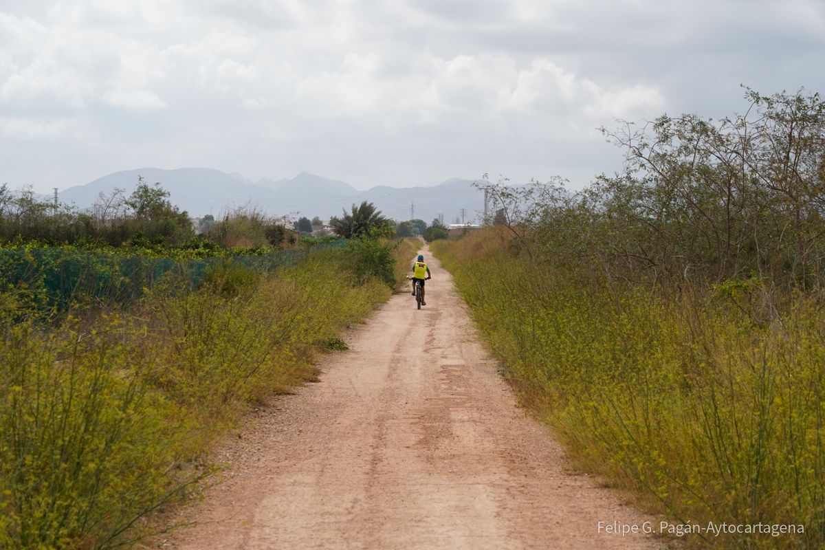 La Vía Verde de Cartagena se pone a punto: menos baches, más seguridad y nuevas rutas para disfrutar del paisaje
