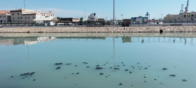 Vecinos de València denuncian la contaminación del cauce del Túria tras la última lluvia
