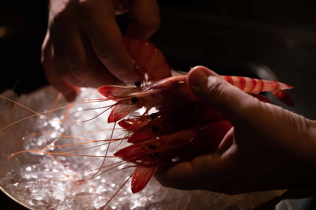 Gambes i Nadal, els secrets de Miquel Gilabert per a no fallar