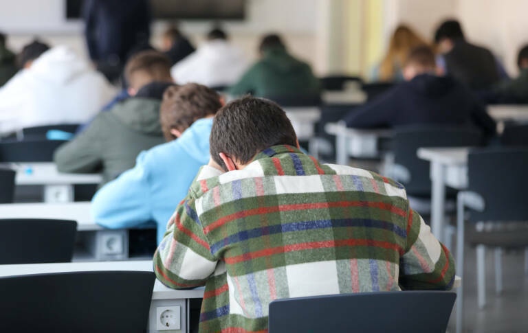 De Benicàssim a la Serratella: ¿en qué localidad hay más vecinos con estudios posteriores a la ESO?