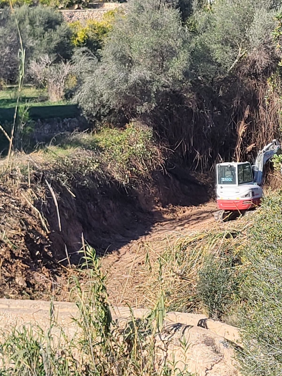 L’Alfàs procede a la limpieza del cauce del Barranco de Soler dentro del plan de prevención ante riadas