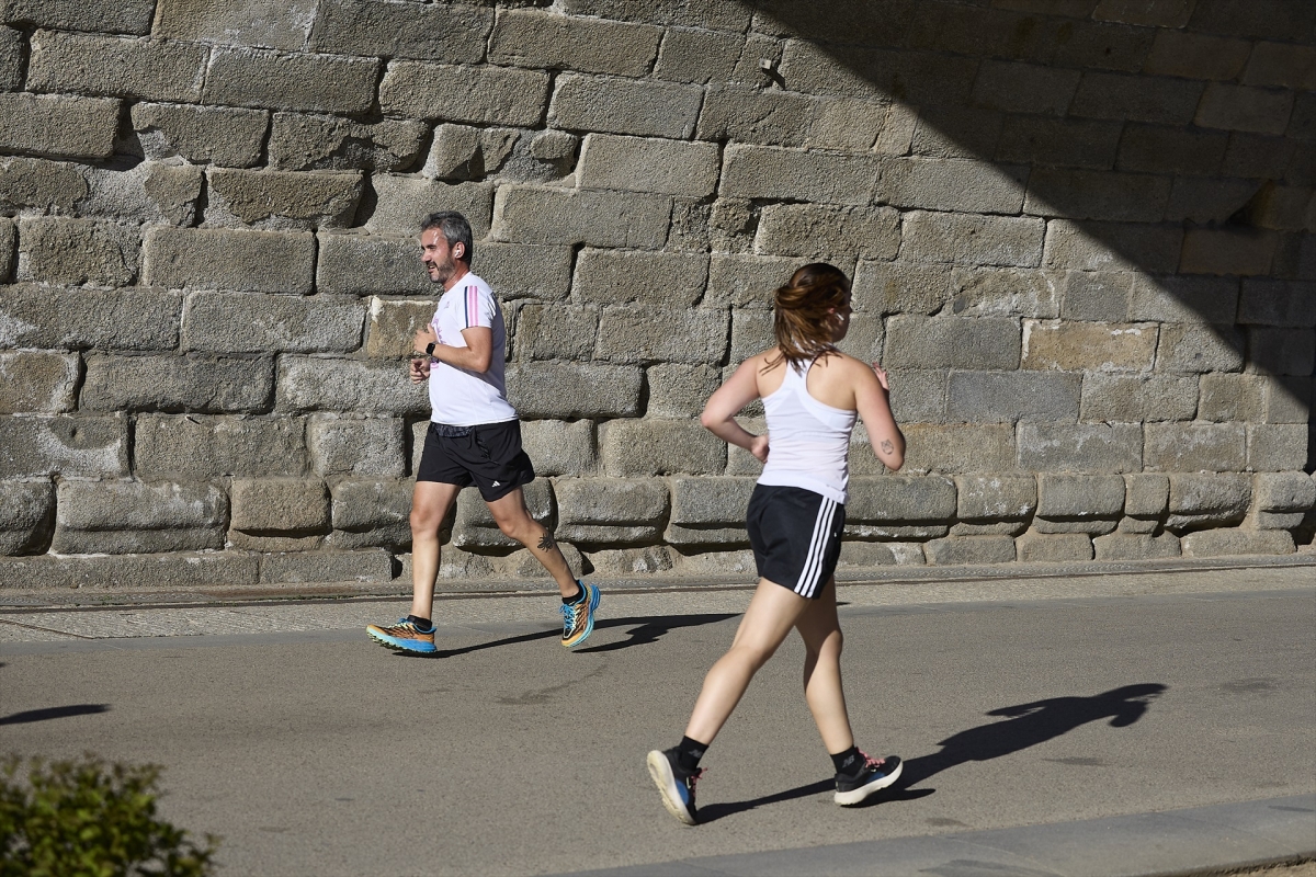 Nueva gama Vitaldin Free From sin azúcar y vegana: el pequeño impulso para la vida real