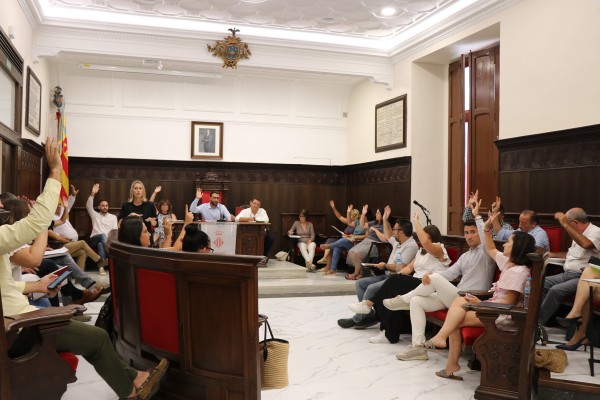 Sagunto apoyará a los citricultores valencianos ante la plaga de 'Scirtothrips aurantii'