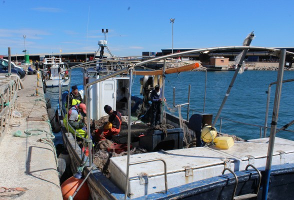 Sagunto concede la Medalla de Oro de la ciudad a la Cofradía de Pescadores Virgen del Carmen