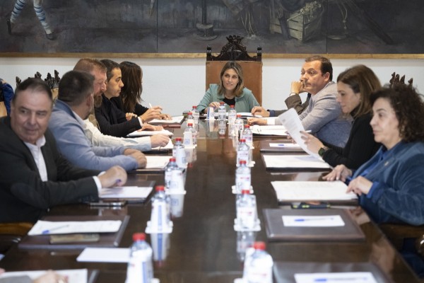 La Diputación concede 200.000 euros en ayudas a 67 municipios para el control de colonias felinas